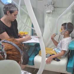 Fotografie k novince.